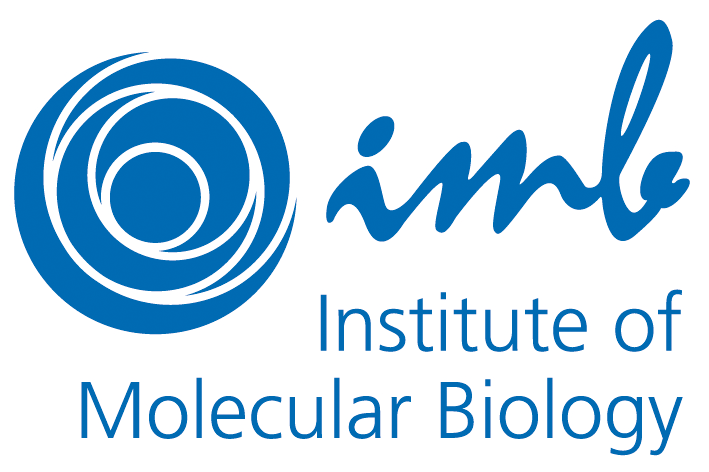 IMB